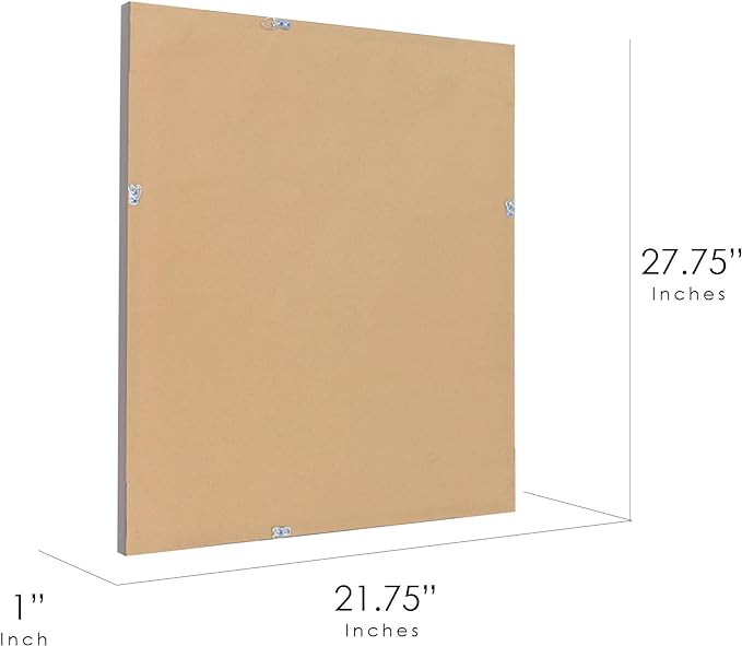 Zalorin Brushed Nickel Polystyrene Rectangular Framed Beveled Wall Mirror, Vanity Mirror, Bathroom Mirrors, Living Room Mirrors - 22" x 28"