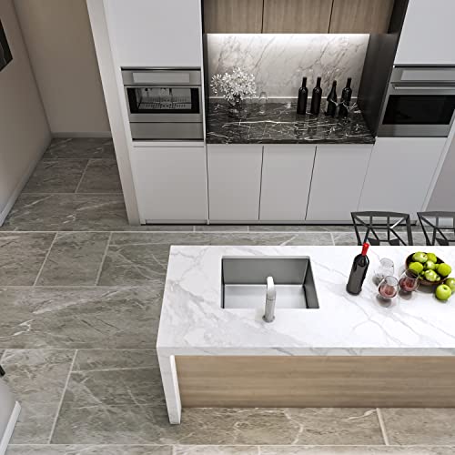 Zalorin 23" x 18" x 9" Undermount Single Bowl Kitchen Sink with 18 Gauge 304 Stainless Steel Satin Finish (Sink Only)