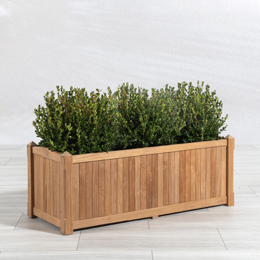 IDZO Pyramid rectangular planter w/ commercial-grade liner